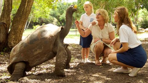 Zwei Frauen und ein Mädchen füttern eine Riesenschildkröte