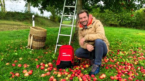 Ein Mann kniet unter einem Apfelbaum. Auf dem Boden heruntergefallene Äpfel.