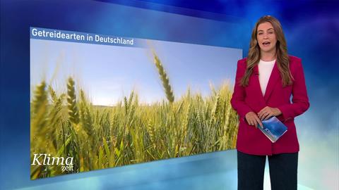 Moderatorin vor Bild mit Topthema