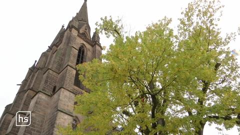 Baum neben Kirche