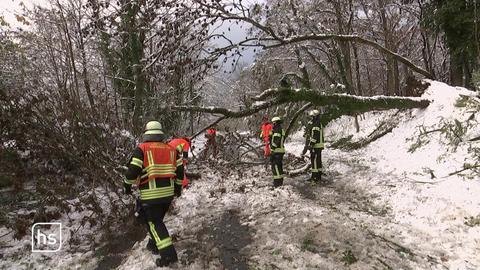 Feuerwehrmänner beseitigen umgestürzten Baum von schneebedeckter Fahrbahn im Wald.