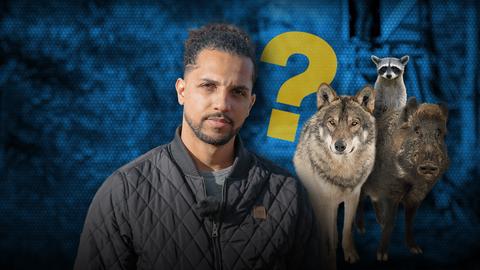 Auf dem Bild ist links ein stirnrunzelnder Simon zu sehen, in der Mitte ein gelbes Fragezeichen und rechts ein Waschbär, ein Wolf und ein Wildschwein.
