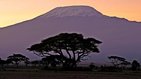 Der Gipfel des Kilimandscharo