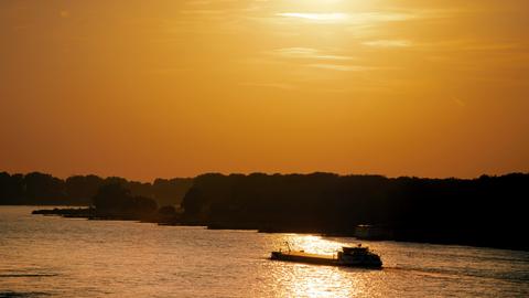 Schifffahrt am Rhein