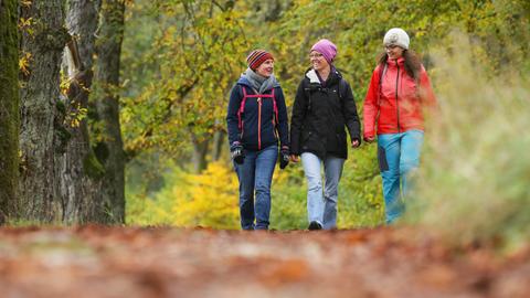 Drei Frauen wandern durch eine herbstlich gefärbten Wald, während der Weg vor ihnen mit Herbstlaub bedeckt ist.
