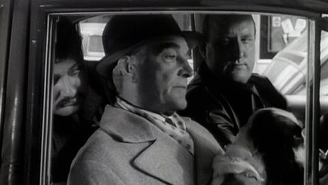 Drei Männer sitzen in einem Auto.