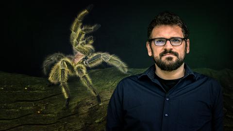 Angstpatient David neben einer Vogelspinne 
