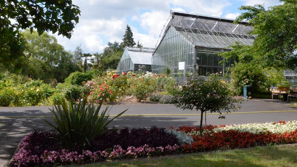 Hallo Hessen Botanischer Garten Marburg Hr Fernsehen De Sendungen