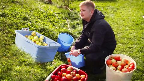 Reporter Simon Rustler sortiert Äpfel.