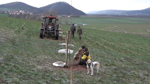 Agroforst