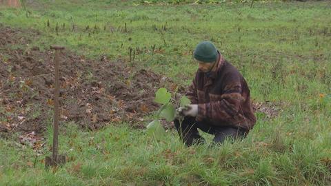 Agroforst Schwarzenhasel