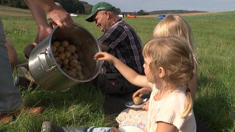 Ernte Kinder Kartoffeln