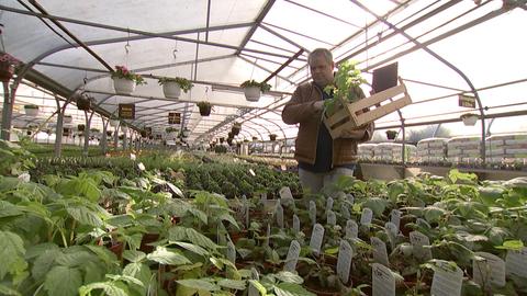 Gartencenter Emmermann