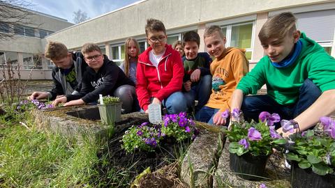 GENAU Gewinner Gesamtschule Geistal Bad Hersfeld