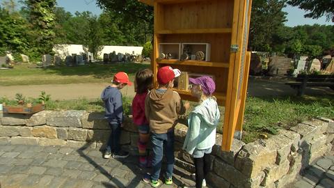 Insektenhotel