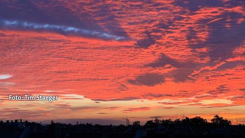 morgenrot