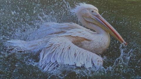 Wasser-Ausstellung