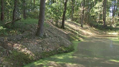 Umweltlotterie GENAU mehr Wasser im Wald lassen Bergheim