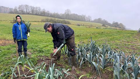 Ernte von Wintergemüse bei Melsungen