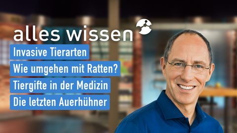 Moderator Thomas Ranft sowie die Themen bei "alles wissen" am 07.09.2023: Invasive Tierarten, Wie umgehen mit Ratten?, Tiergifte in der Medizin, Die letzten Auerhühner