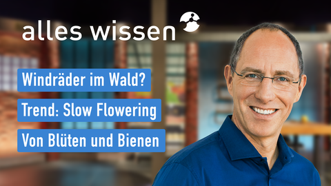 Moderator Thomas Ranft sowie die Themen bei "alles wissen" am 21.04.2022: Windräder im Wald?, Trend: Slow Flowering, Von Blüten und Bienen