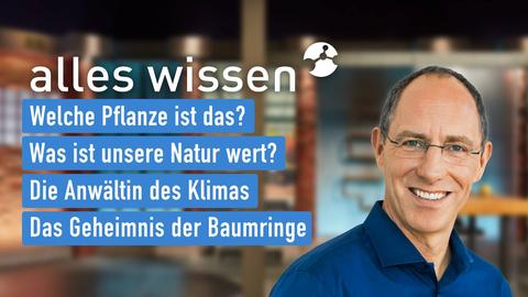 Moderator Thomas Ranft sowie die Themen bei "alles wissen" am 25.05.2023: Welche Pflanze ist das?, Was ist unsere Natur wert?, Die Anwältin des Klimas, das Geheimnis der Baumringe