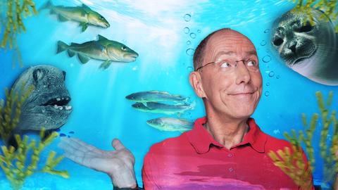 Thomas Ranft zwischen Fischen und einem Seehund.