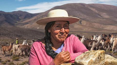 Eine Frau der indigenen Gemeinschaft der Kolla steht in Puna, einer Hochwüste in den argentinischen Anden.