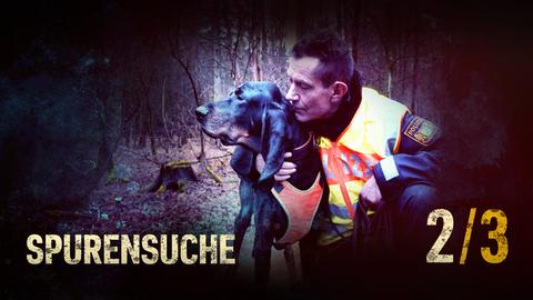 Ein Spürhund der Polizei sucht mit einem Polizeihundeführer nach Spuren am Tatort (Collage). Text: Spurensuche, 2/3