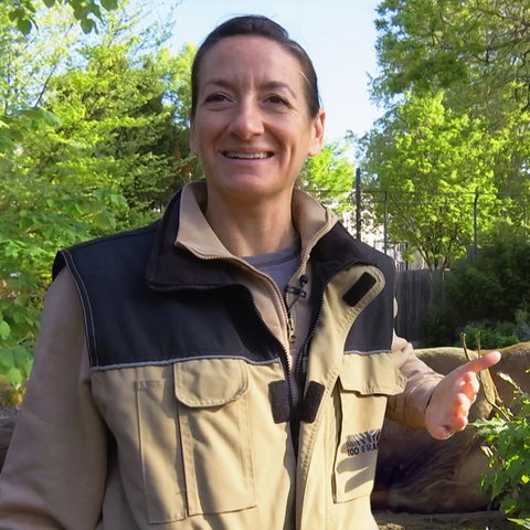Tierärztin Dr. Christina Geiger und Löwe Kumar