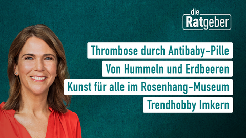 Die Themen bei "Die Ratgeber" am 11. Mai: Thrombose durch Antibaby-Pille, Von Hummeln und Erdbeeren, Kunst für alle im Rosenhang-Museum, Trendhobby Imkern