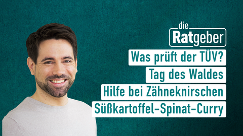 Themen sind: Was prüft der TÜV?, Tag des Waldes, Hilfe bei Zähneknirschen, Süßkartoffel-Spinat-Curry.