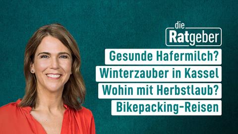 Die Ratgeber vom 09.11.2023