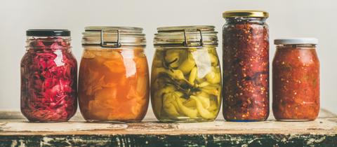 Fermentation