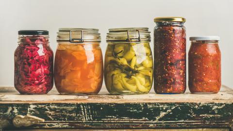 Fermentation