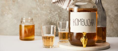Kombucha in großer Glasflasche und kleinen Gläschen