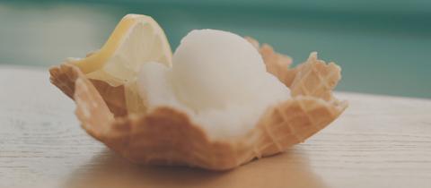 Zitronensorbet