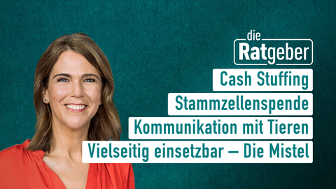 Moderatorin Anne Brüning sowie die Themen bei "die Ratgeber" am 15.03.2023: Cash Stuffing, Stammzellenspende, Kommunikation mit Tieren, Vielseitig einsetzbar - Die Mistel