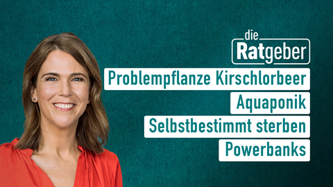 Moderatorin Anne Brüning sowie die Themen bei "die Ratgeber" am 09.05.2023: Problempflanze Kirschlorbeer, Aquaponik, Selbstbestimmt sterben, Powerbanks