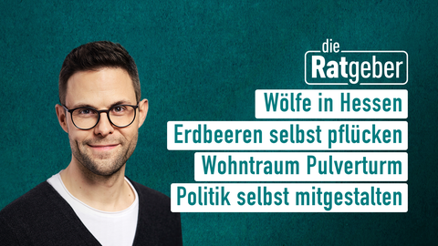 Moderator Kai Fischer sowie die Themen bei "die Ratgeber" am 17.05.2023: Wölfe in Hessen, Erdbeeren selbst pflücken, Wohntraum Pulverturm, Politik selbst mitgestalten