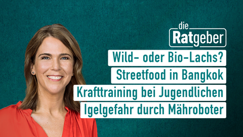 Moderatorin Anne Brüning sowie die Themen bei "die Ratgeber" am 23.05.2023: Wild- oder Bio-Lachs?, Streetfood in Bangkok, Krafttraining bei Jugendlichen, Igelgefahr durch Mähroboter