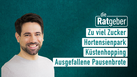 Moderator Danile Johe sowie die Themen bei "die Ratgeber" am 06.09.2023: Zu viel Zucker, Hortensienpark, Küstenhopping, Ausgefallene Pausenbrote
