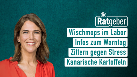 Moderatorin Anne Brüning sowie die Themen bei "die Ratgeber" am 13.09.2023: Wischmops im Labor, Infos zum Warntag, Zittern gegen Stress, Kanarische Kartoffeln