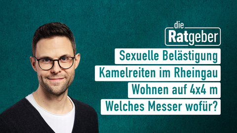 Moderator Kai Fischer sowie die Themen bei "die Ratgeber" am 06.02.2024: Sexuelle Belästigung, Kamelreiten im Rheingau, Wohnen auf 4x4 m, Welches Messer wofür?