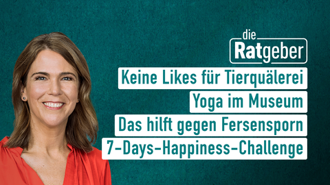 Moderatorin Anne Brünig sowie die Themen bei "die Ratgeber" am 16.01.2023: Keine Likes für Tierquälerei, Yoga im Mueseum, Das hilft gegen Fernsehsporn, 7-Days-Happiness-Challenge 