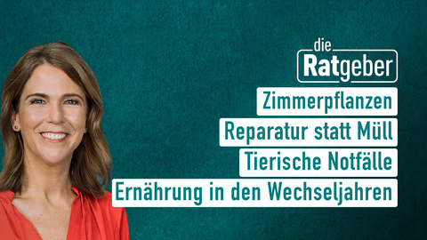Moderatorin Anne Brüning sowie die Themen bei "die Ratgeber" am 16.03.2023: Zimmerpflanzen, Reparatur statt Müll, Tierische Notfälle, Ernährung in den Wechseljahren 