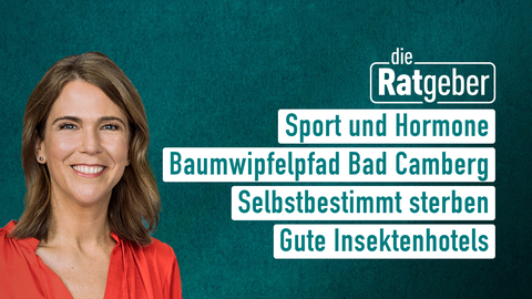 Moderatorin Anne Brüning sowie die Themen bei "die Ratgeber" am 12.05.2023: Sport und Hormone, Baumwipfelpfad Bad Camberg, Selbstbestimmt sterben, Gute Insektenhotels 