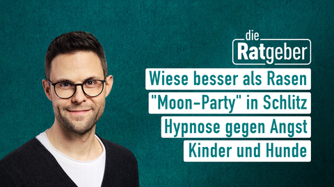 Moderator Kai Fischer sowie die Themen bei "die Ratgeber" am 01.06.2023: Wiese besser als Rasen, "Moon-Party" in Schlitz, Hypnose gegen Angst, Kinder und Hunde