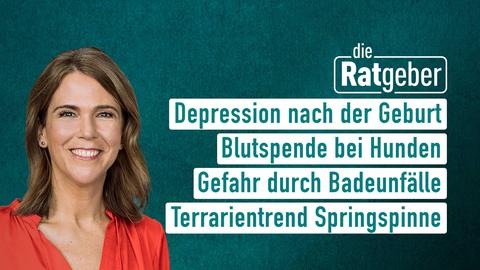 Moderatorin Anne Brüning sowie die The: men bei "die Ratgeber" am 06.06.2023