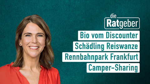Moderatorin Anne Brüning sowie die Themen bei "die Ratgeber" am 28.09.2023: Bio vom Discounter, Schädling Reiswanze, Rennbahnpark Frankfurt, Camper-Sharing